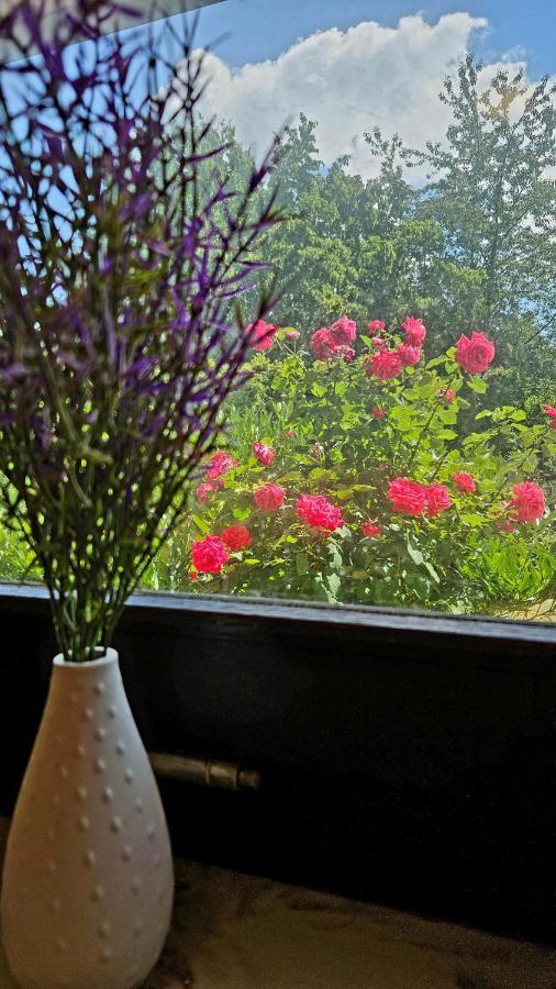 Ferienwohnung Rodder Maar Niederzissen Bagian luar foto
